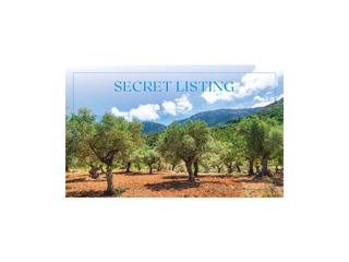 Mas à Puigpunyent. Espectacular casa con jardín, piscina y bosque privado en puigpu