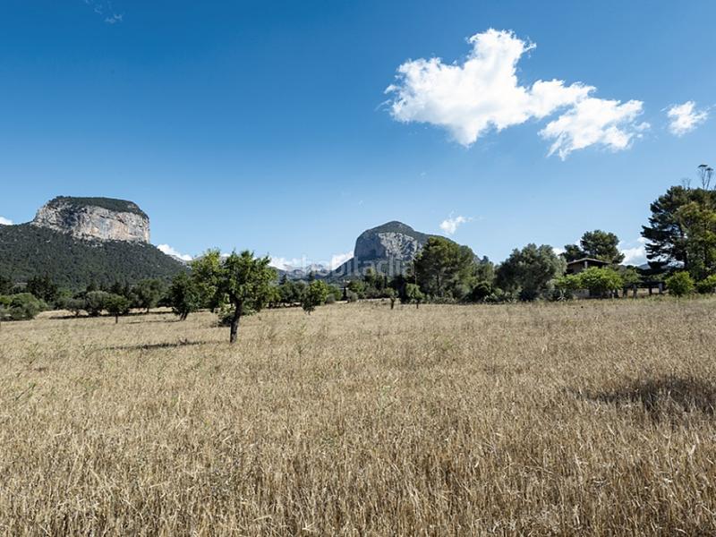 Foto a0857c25-ac28-42b7-8412-88f8448f2bc6. Casale con piscina in Alaró