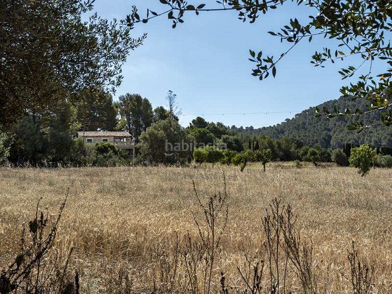 Foto bb182a33-ab39-465b-b193-94eae4b8e586. Casale con piscina in Alaró