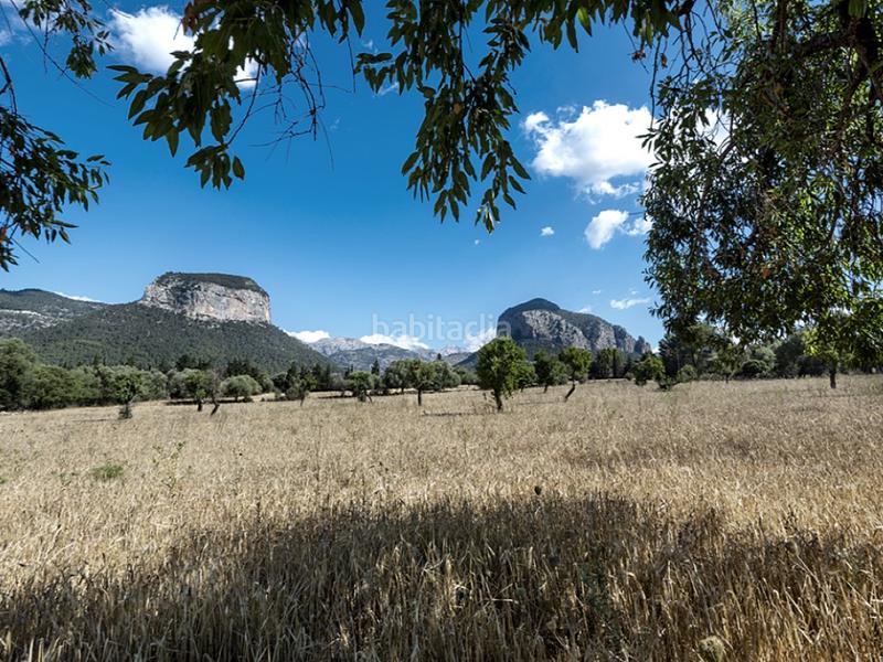 Foto d9c2955f-ed44-4087-b750-b0a5808968d6. Casale con piscina in Alaró