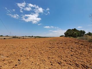 Residential Plot in Santa Eugènia