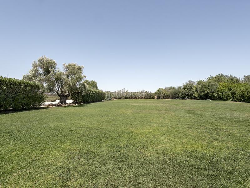 Foto 4e262713-9155-403f-97ab-d3d3bd7553c1. Masia amb aparcament piscina a Llucmajor interior Llucmajor