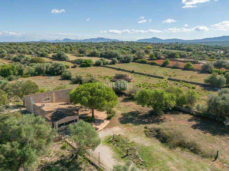 Foto 2f541f11-1bd4-47fa-80a5-d48bfb3867af. Mas avec chauffage dans Santa Margalida poble Santa Margalida