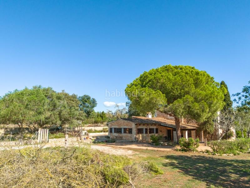 Foto d531261a-16b2-4bc1-bbe4-a7a4fc048647. Mas avec chauffage dans Santa Margalida poble Santa Margalida