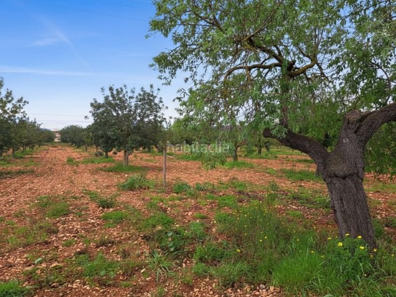 Foto 7f251b39-44bc-4828-9c2f-8818f47fe24b. Terreny residencial a Consell