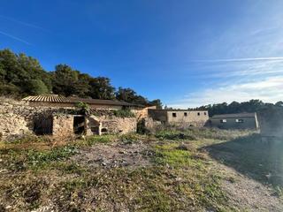 Masia a Sineu. Granja para reformar a unos 5 minutos en pie de sineu