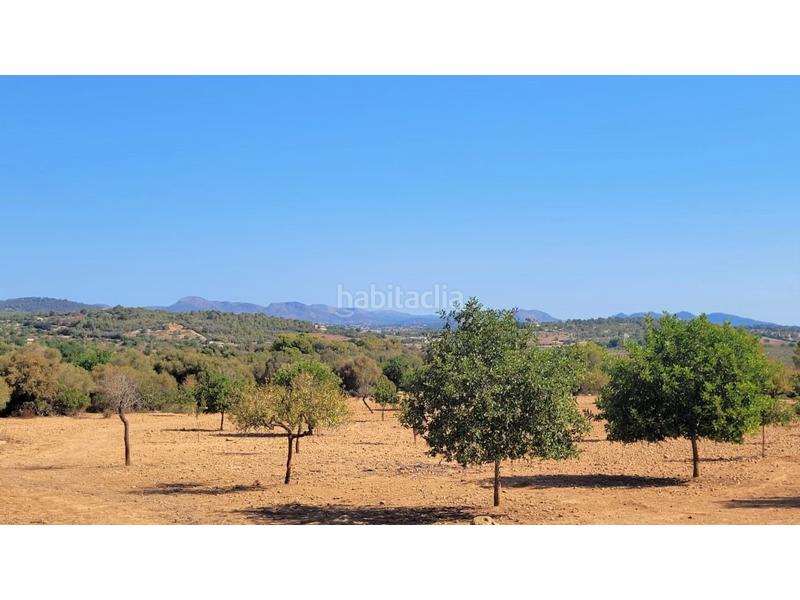 Foto 55580a97-ef20-467a-8c07-a124411b23ef. Terreno residenziale in Manacor centre Manacor