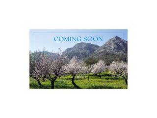 Mas à Sencelles. Encanto rural con vistas a la tramuntana en el corazón de mallor