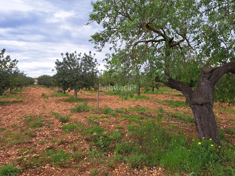 Foto 213260ac-d4b5-4ccb-8388-81c824f209a5. Terreno residencial terreno rústico con licencia de pozo entre santa maria y en Consell