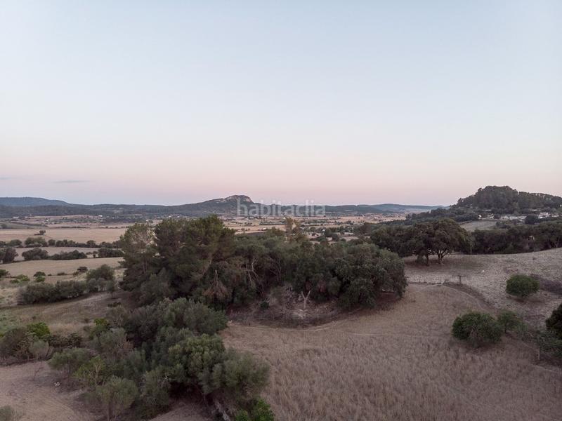 Foto 7fe0a25e-11f4-4ed0-81b9-9e2623152043. Location mas avec parking dans Sineu