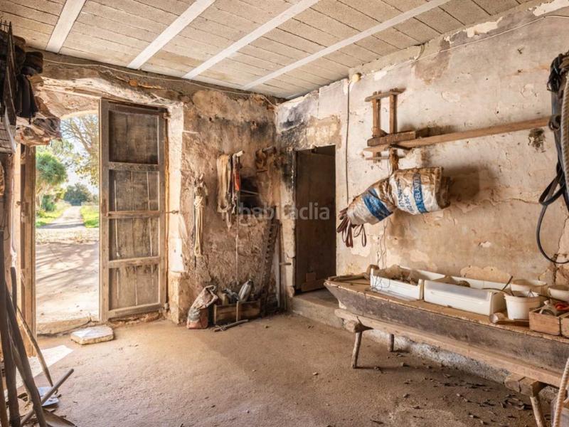 Foto a083db5e-f1ff-4636-9e78-166d5bab817a. Casale con parcheggio in Felanitx poble Felanitx