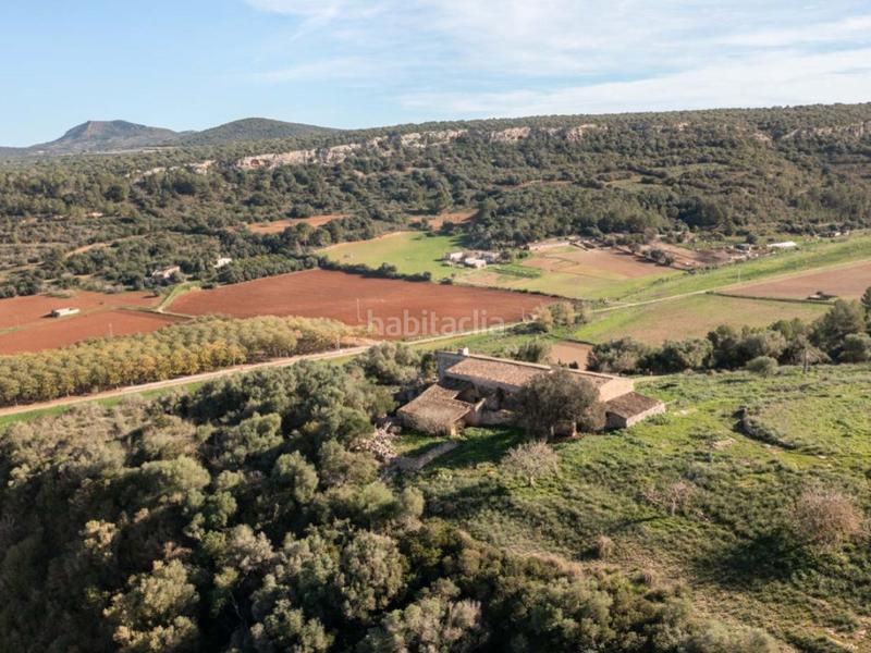 Foto 2628cbce-05c6-4c80-bde6-8845982ef7ba. Masia a Manacor centre Manacor