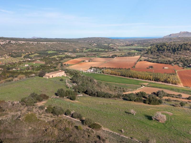 Foto 393e719b-b576-4b6a-999e-814e3ad82869. Masia a Manacor centre Manacor