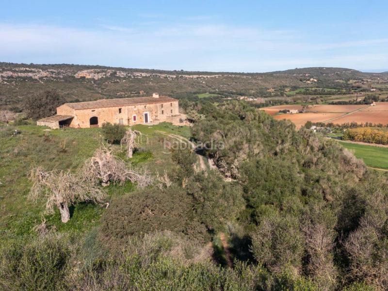 Foto faa09753-0e7d-48cb-98af-a406ecf2c0fd. Masia a Manacor centre Manacor