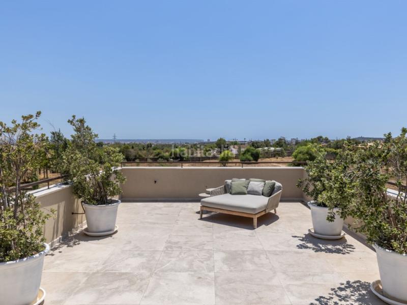 Foto da4d0b91-2db5-44e6-9196-7a4c79532201. Masia amb aparcament piscina a Es Camp Redó Palma de Mallorca