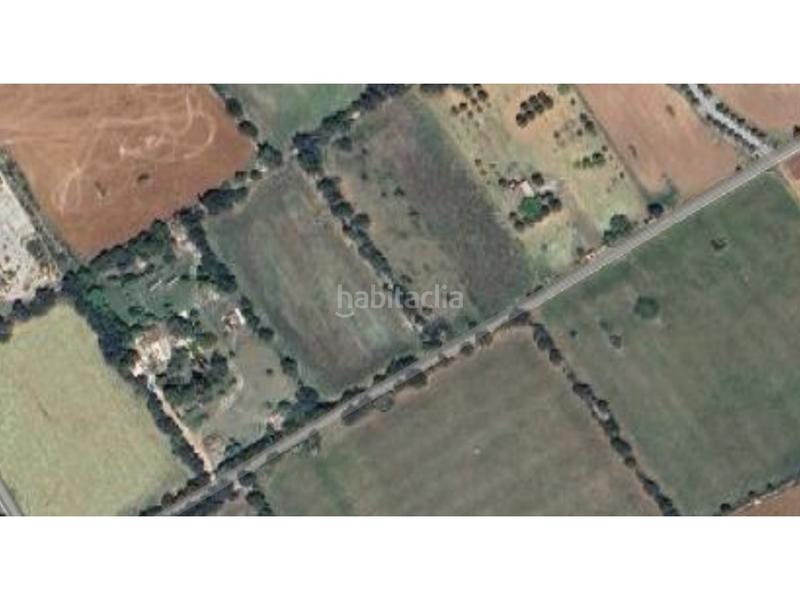 Foto 234cf0ee-df5b-43a8-9bb8-6c0b6a962916. Terreny residencial a Manacor centre Manacor