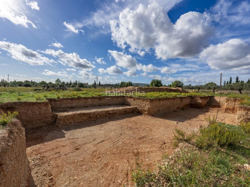 Foto 01628b4d-8aa7-43f9-9d74-b86d727c80ce. Casale in Consell