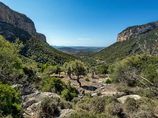 Masia a Alaró. Finca rústica en la ladera de la montaña en alaró con gran exten