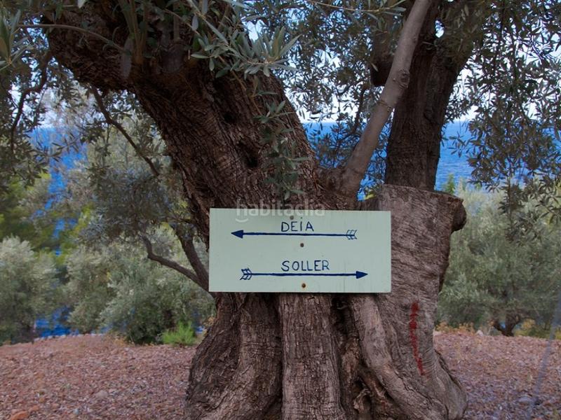 Foto 9c379818-dc6b-41e8-8153-9f0f8a0b4315. Masia amb piscina a Sóller