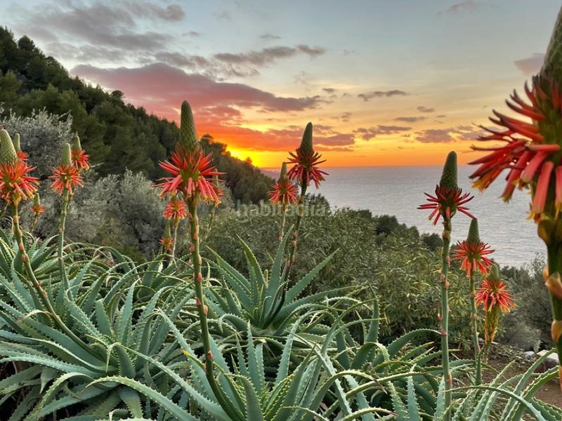 Foto ea33c439-26e7-4a57-b9ca-d63b5c5655e0. Masia amb piscina a Sóller
