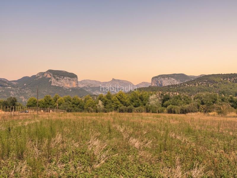 Foto 67c1be3a-9814-40cb-a578-a80c161fe091. Terrain résidentiel dans Alaró