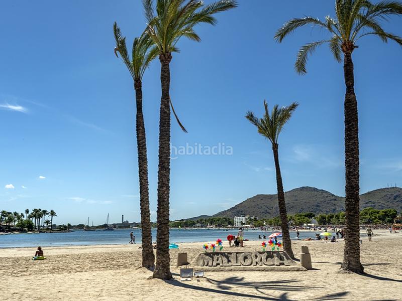 Foto 138838e7-19f6-42f4-bc8b-09e3fdd97e3f. Piccolo appartamento in port d´Alcúdia-platja dálcúdia Alcúdia