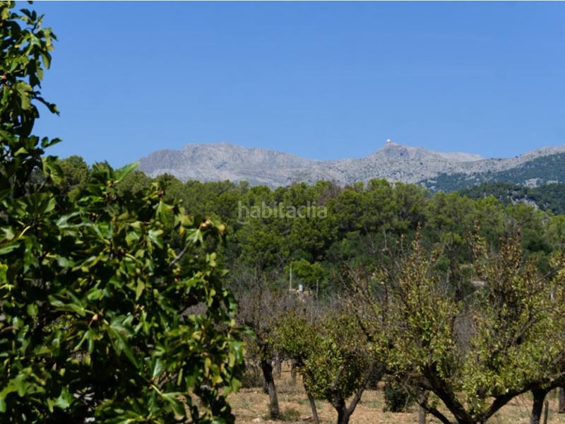 Foto 5b63f176-7ac1-41ed-b39c-9778834fd443. Mas avec parking piscine dans Binissalem