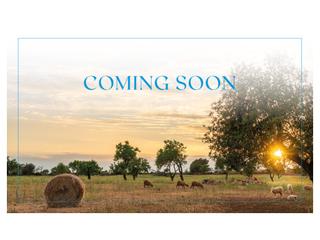 Terreno residencial en Algaida. Proyecto sobre terreno en algaida con licencia para construir un