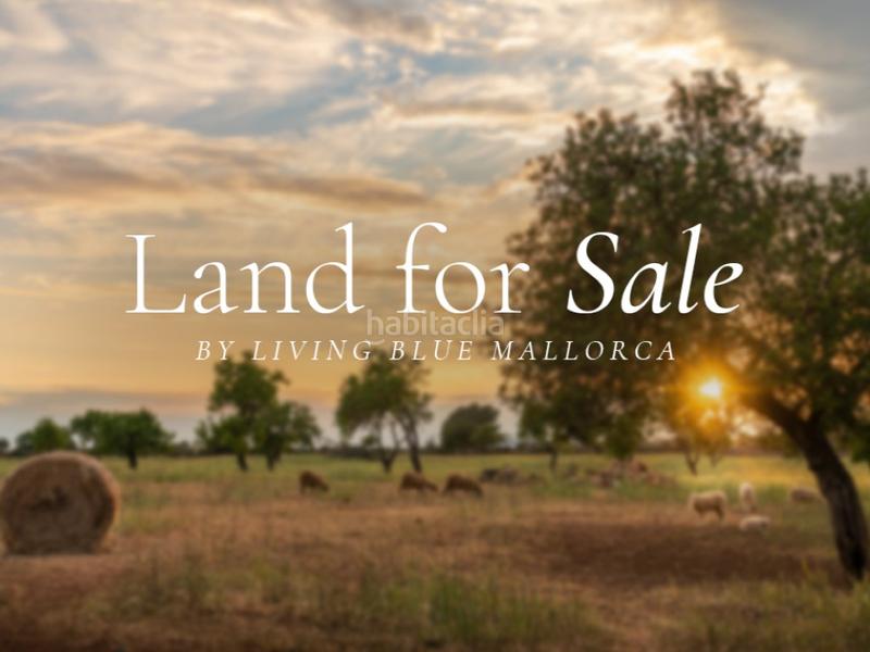 Foto 3c7e5558-5f3c-4d80-a053-601b57104b7e. Wohngrundstück in Ses Salines poble Ses Salines