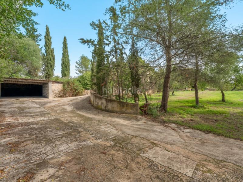 Foto 33a920b9-9c5d-4d5d-822f-1ea087264a4d. Bauernhof mit pool in Establiments Palma de Mallorca