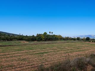 Casa en Santa Eugènia. Vida en el pueblo y en el campo casa adosada en esquina con pote