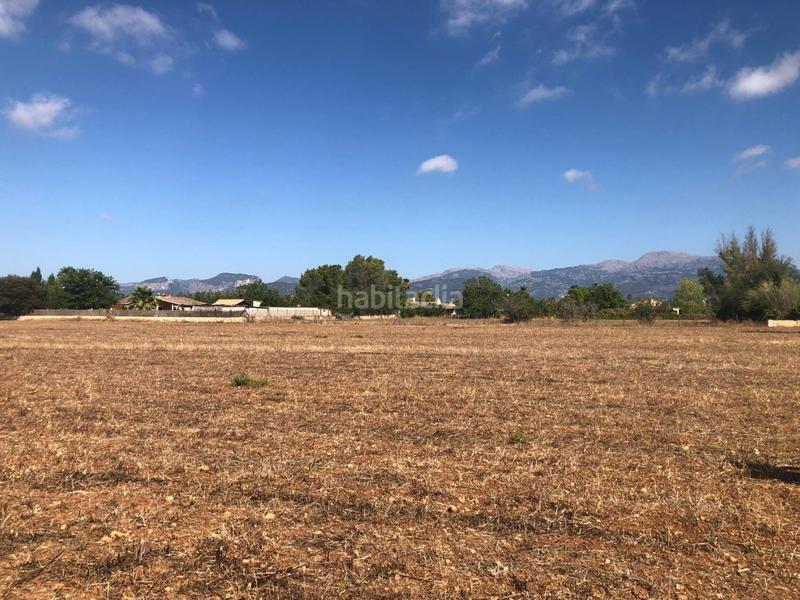 Foto 61a843db-fc18-4f85-aaa8-4a600281b040. Terreny residencial a Zona Periurbana Inca