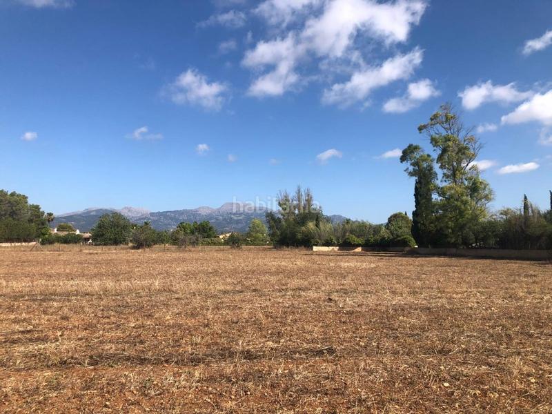 Foto 8dd72786-c876-4840-8192-099802cceb5c. Terreny residencial a Zona Periurbana Inca