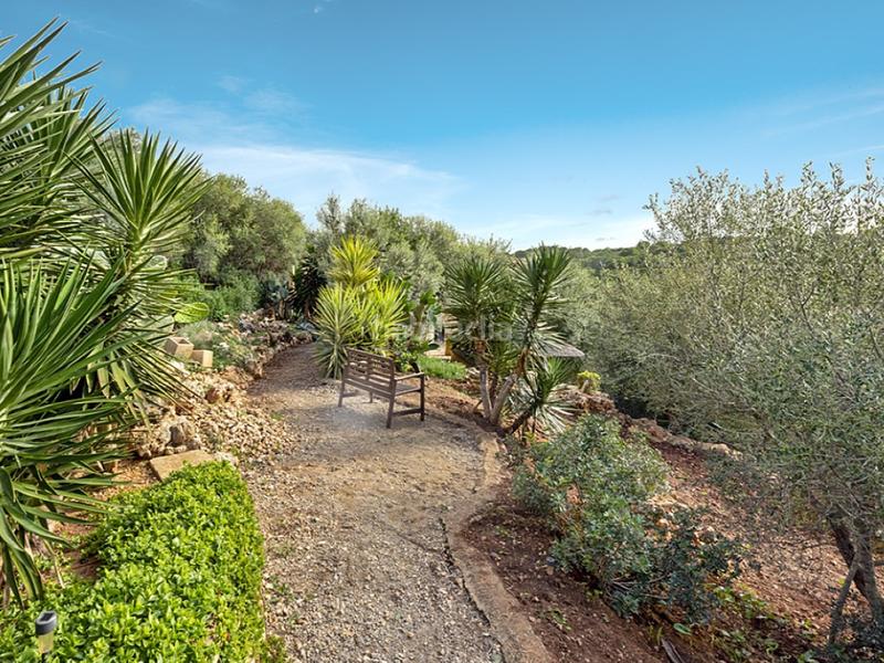 Foto 4d5d49db-02cc-405e-a45c-ca6b3ffd3a19. Casa in Cala Magrana-Cala Anguila-Cala Mendia Manacor