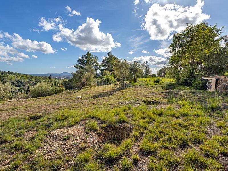 Foto 3a33532f-d68d-42fc-b2a1-304a916f95e5. Casale con riscaldamento parcheggio piscina in Alaró