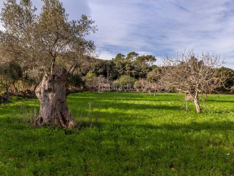 Foto 15069857-e105-4ba0-94e1-42029e9bf08d. Masia amb aparcament a Pollença poble Pollença