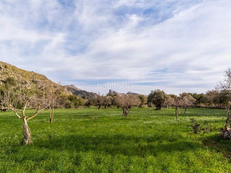 Foto a2d84440-c44f-42cd-9986-f407ba883194. Masia amb aparcament a Pollença poble Pollença