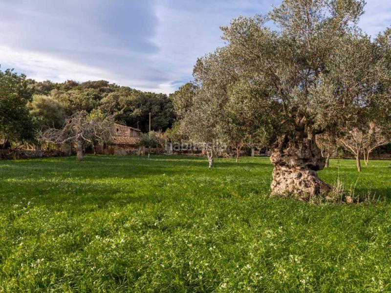 Foto e4d8c2d6-cf78-4ae2-bd43-78d0713804bb. Masia amb aparcament a Pollença poble Pollença