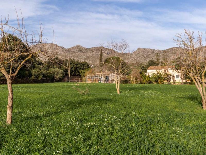 Foto f69cb927-4b73-4938-8f53-96a8d7fc91a5. Masia amb aparcament a Pollença poble Pollença