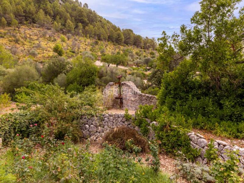 Foto 189fcb47-d081-4cc7-bbc6-ad97dd1bc0e0. Masia amb calefacció aparcament piscina a Selva