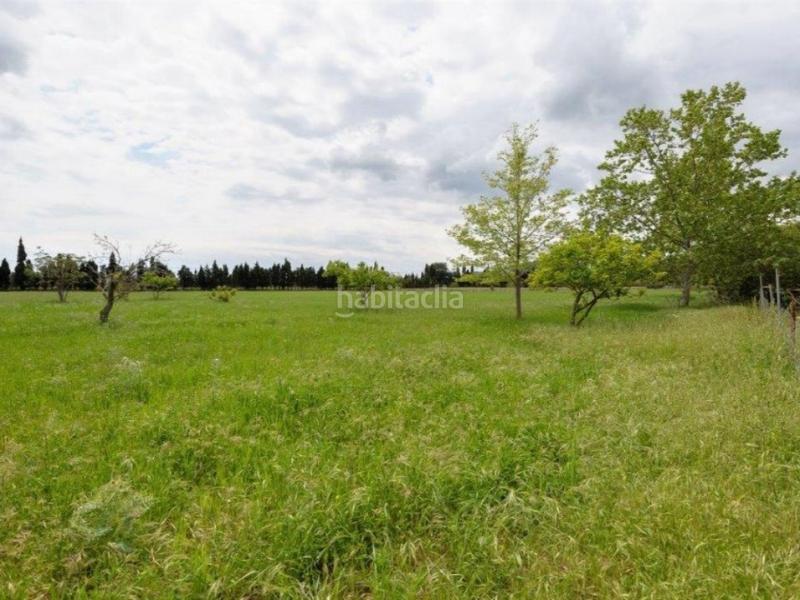 Foto 5b1f85fc-1032-4206-b11c-323f643661f6. Masia amb aparcament piscina a Pollença poble Pollença