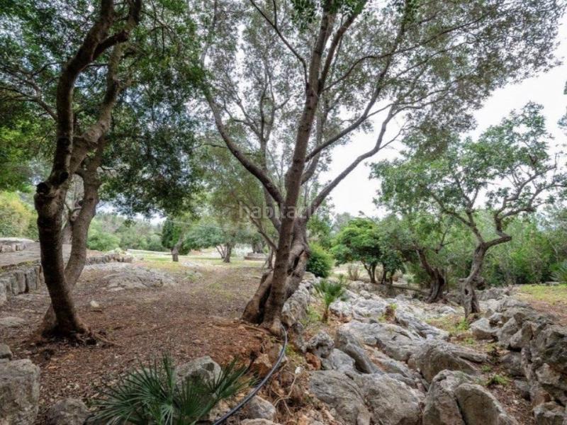 Foto 7042299c-97eb-46a9-b8fd-6a2b8cb94f22. Masia amb aparcament piscina a Pollença poble Pollença