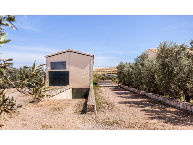 Foto d335a1e7-ed2d-4017-b9f9-6cc31fbdd9f6. Mas avec chauffage parking piscine dans Els pla de na Tesa Marratxí