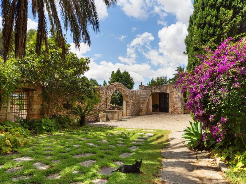 Foto 09ca3f58-ec06-493a-8a9a-a525f3f998d2. Bauernhof mit heizung parking pool in Zona Periurbana Inca