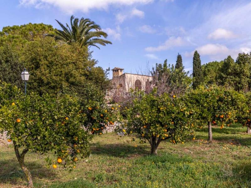 Foto 5fb2d18d-ef92-4afb-acbf-a011f9d525a5. Bauernhof mit heizung parking pool in Zona Periurbana Inca