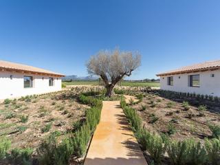 Mas à Santa María del Camí. Fantástica finca rústica a estrenar cerca de santa maría
