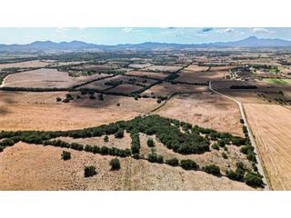 Mas à Manacor Centre. Casa de ensueño en zona tranquila de manacor