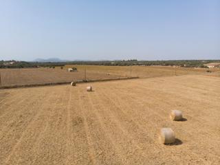 Terrain résidentiel à Campos. Estupendo terreno con proyecto en campos
