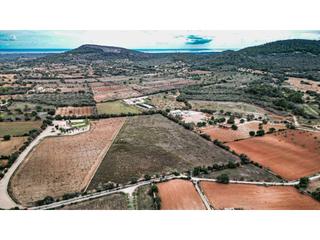 Terreny residencial a S´Horta - Cas Concos des Cavaller - Es Carritxó. Terreno con licencia de obras y viñedos en cas concos