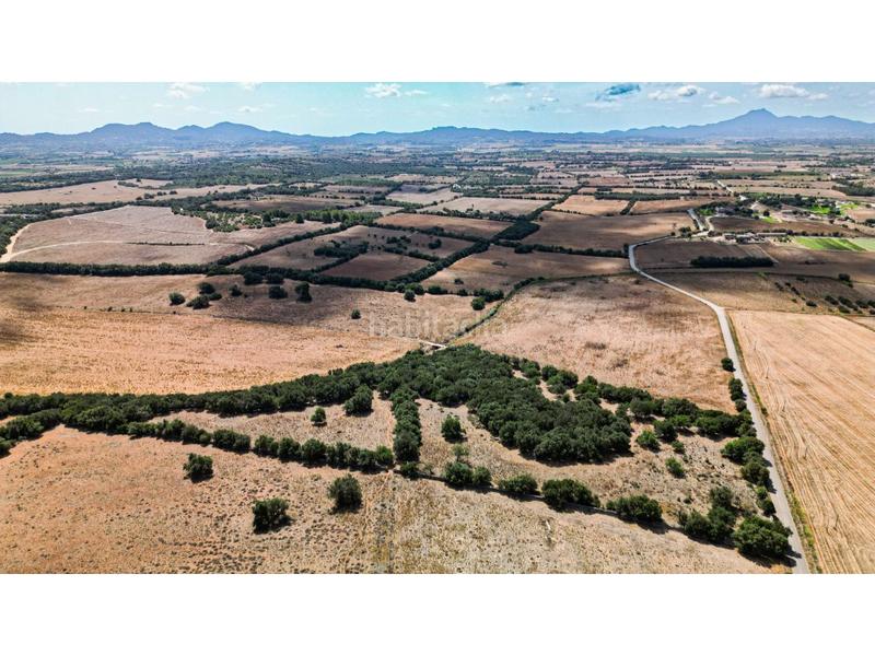 Foto 3b33e54e-1e52-4af9-8e39-d0b1e4cedf9d. Terreno residencial terreno con projecto en zona tranquila cerca en Manacor